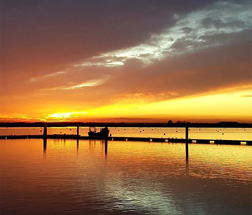 Sea End Holiday Park. Lodges for sale in Essex by the seaside