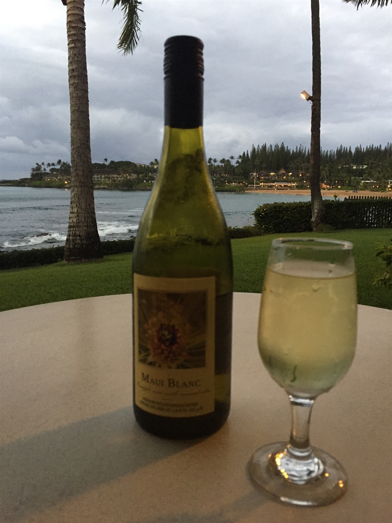 Maui Hawaiian Island Infatuation Just Me And A Boarding Pass