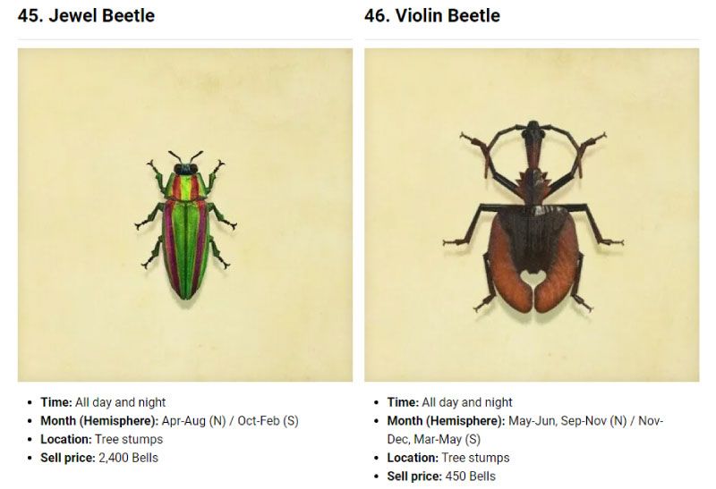 Complete bugs list Animal Crossing New Horizons JustNeko