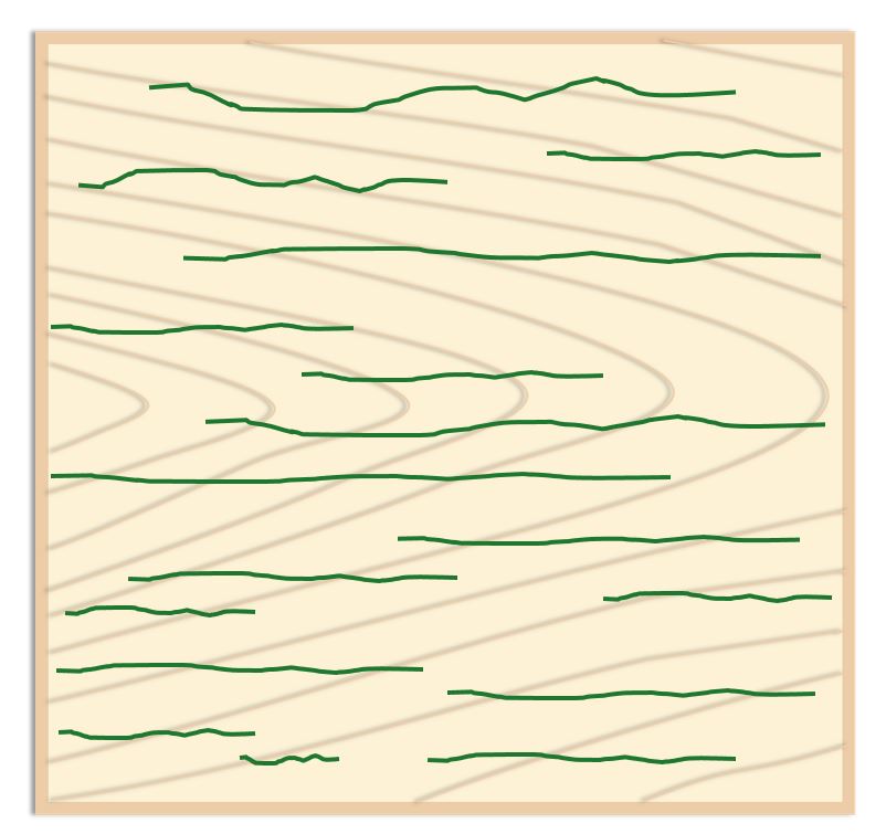 Surface Checking and Plywood, Is It a Concern? Just Paint