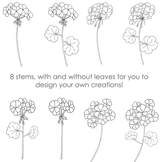 Geranium Patterns Geranium Coloring Pages Just Paint It Blog
