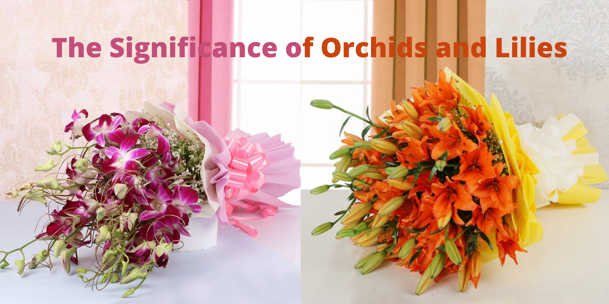 The significance of Orchids and Lilies JustPaste.it