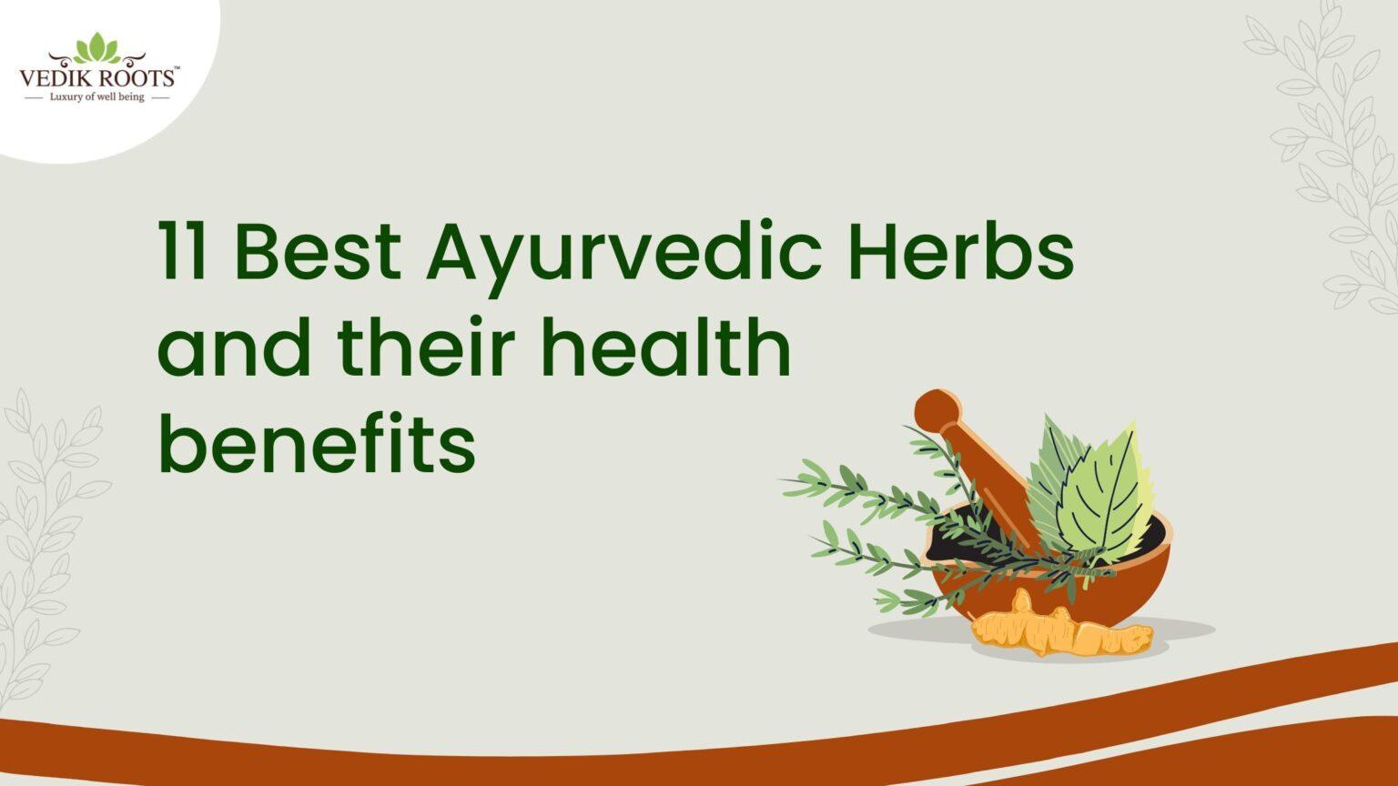 11 Best Ayurvedic Herbs and their health benefits JustPaste.it