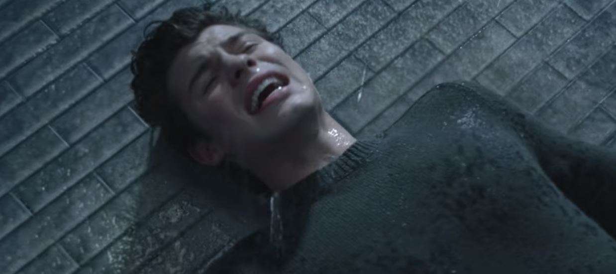 Shawn Mendes In My Blood (Lyrics Review and Song Meaning