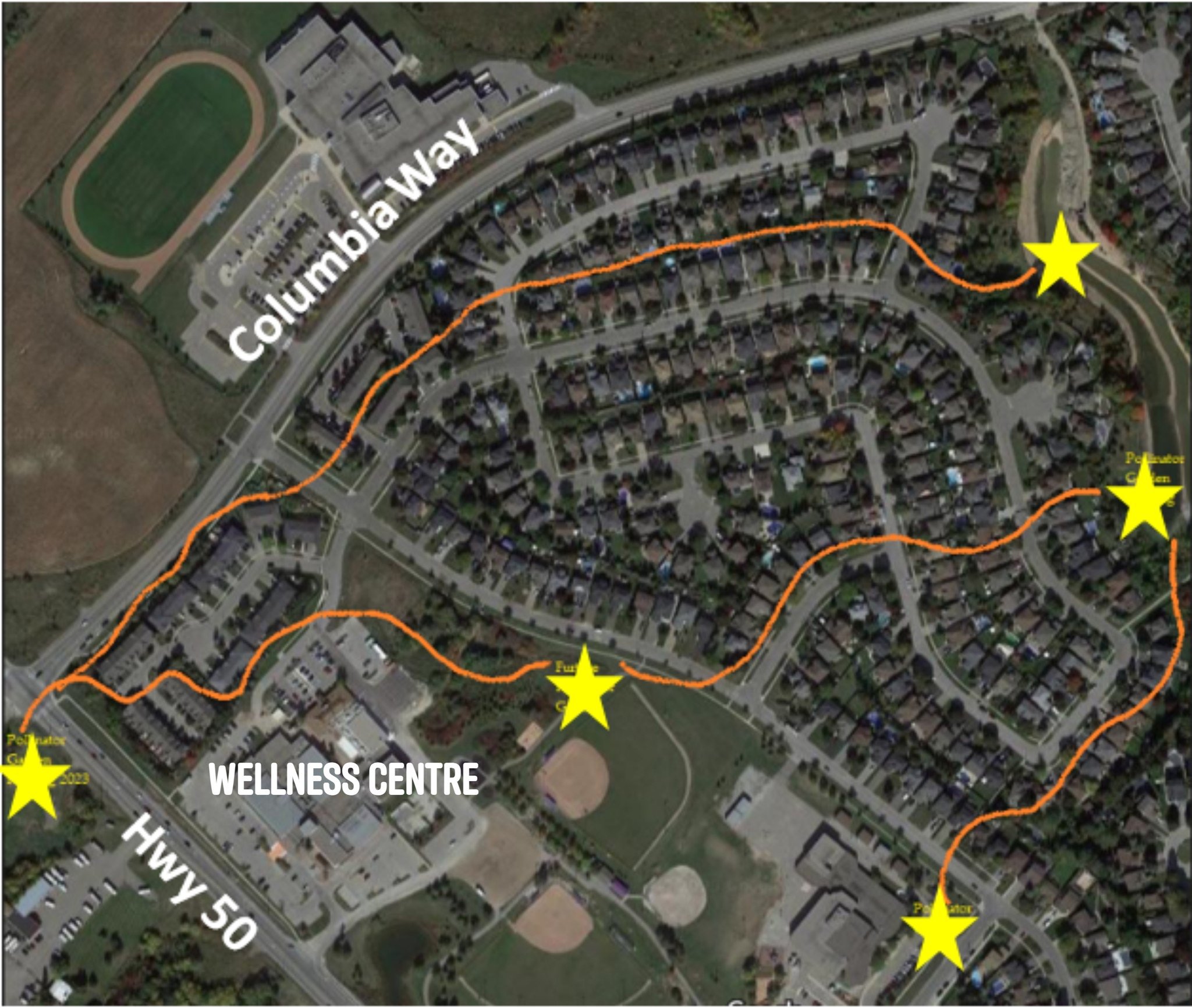 Bolton North Hill Pilot Project Offers Free Native Plants Just Sayin