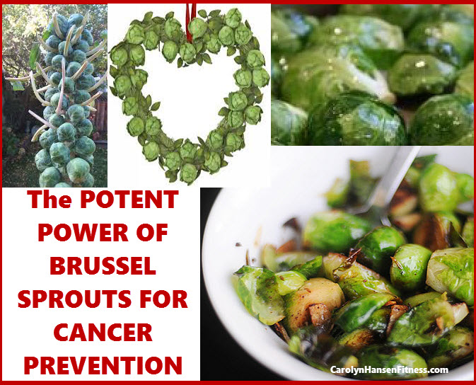 Potent Power of Brussel Sprouts Just Say No To Cancer