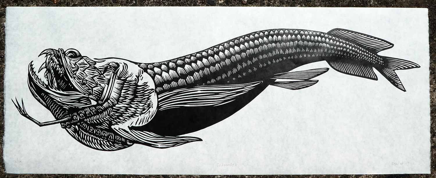 Dragon Fish Drawing