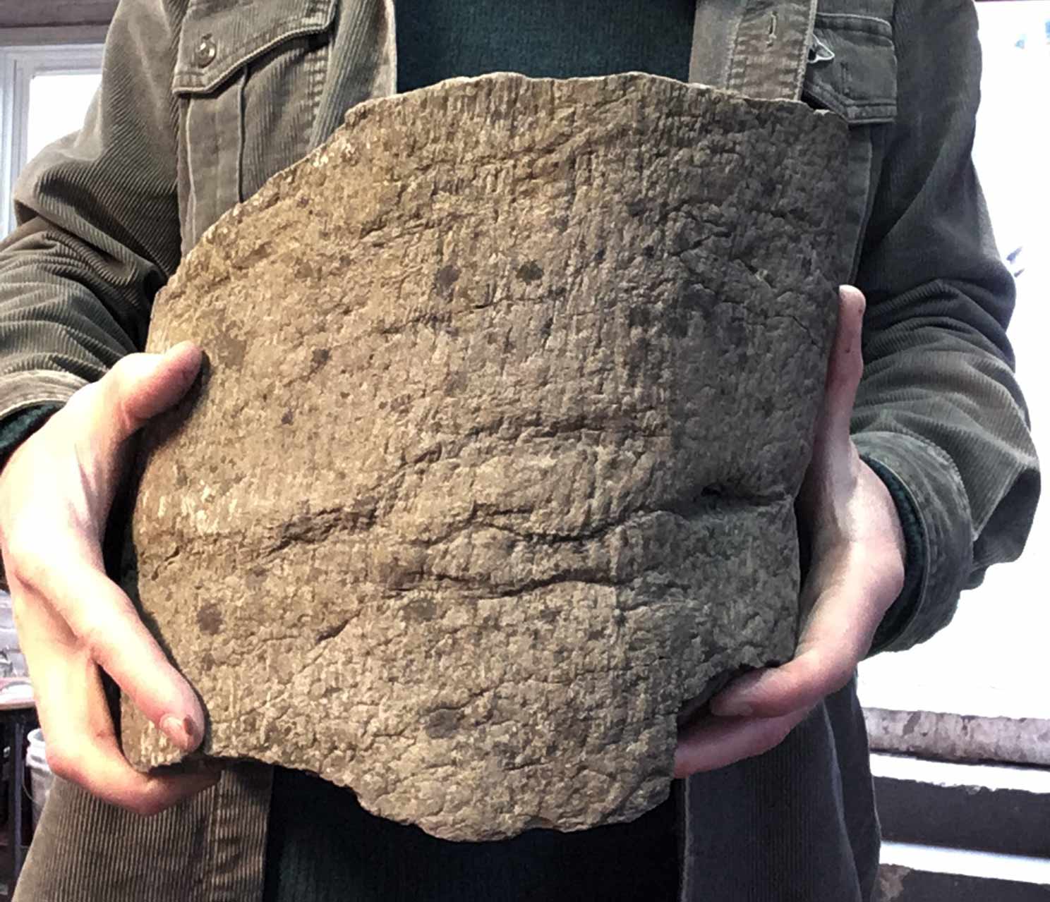 Justseeds Deep Time and Class Struggle in the Museum