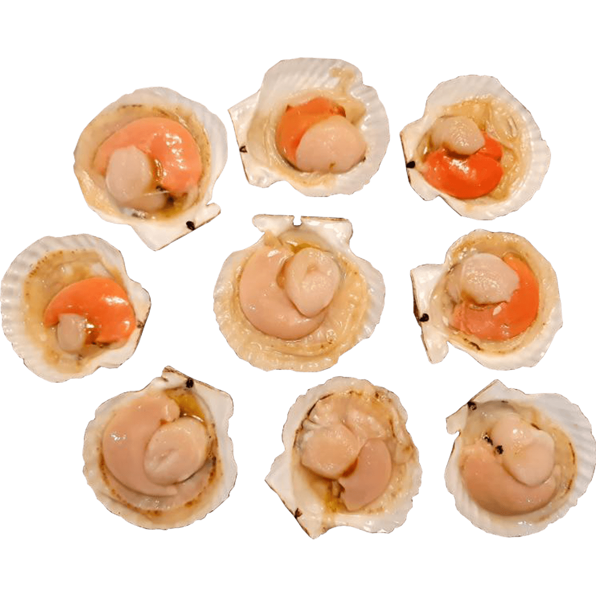 Hokkaido Half Shell Scallops, 1 kg For Sale Philippines PH