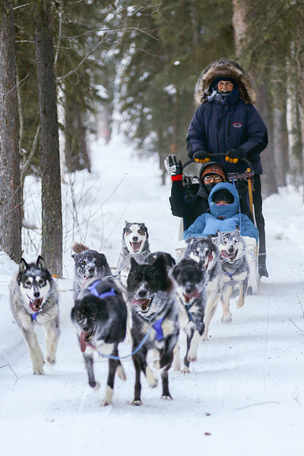 Alaska Dog Sled Tours Dog Mushing Yurt B&B Just Short of Magic