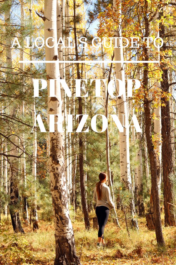 A Local's Guide Best Things to do in Simply Wander