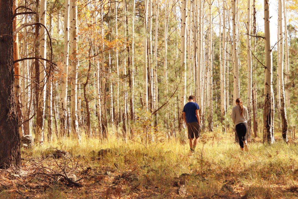 A Local's Guide Best Things to do in Simply Wander