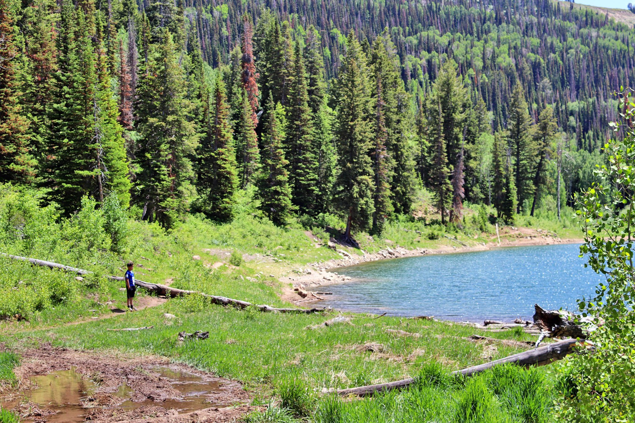 Sanpete County A Utah Hidden Gem Simply Wander