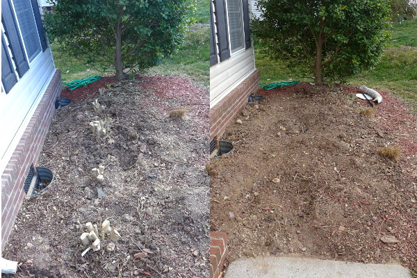 Shrub Removal Service – Just Small Trees, LLC