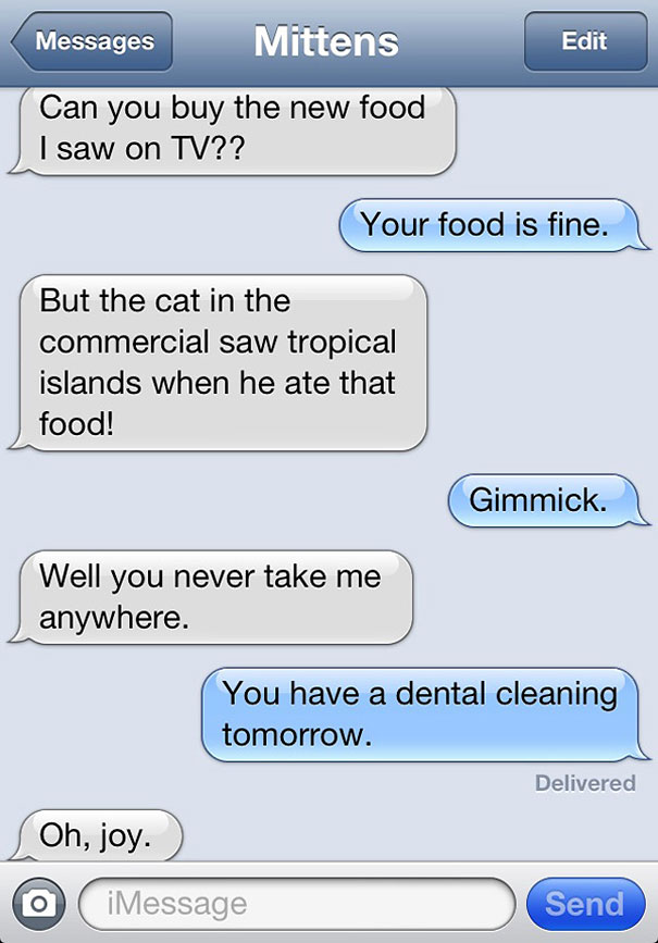 The 32 Funniest Text Messages Cats Would Send, If They Could Text