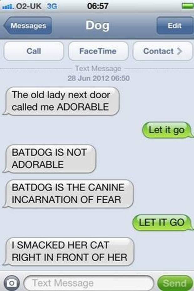 The 35 funniest text messages dogs would send, if they could text
