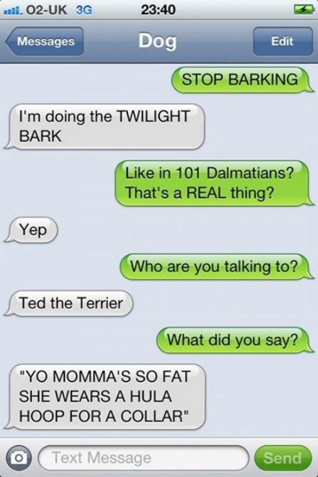 The 35 funniest text messages dogs would send, if they could text