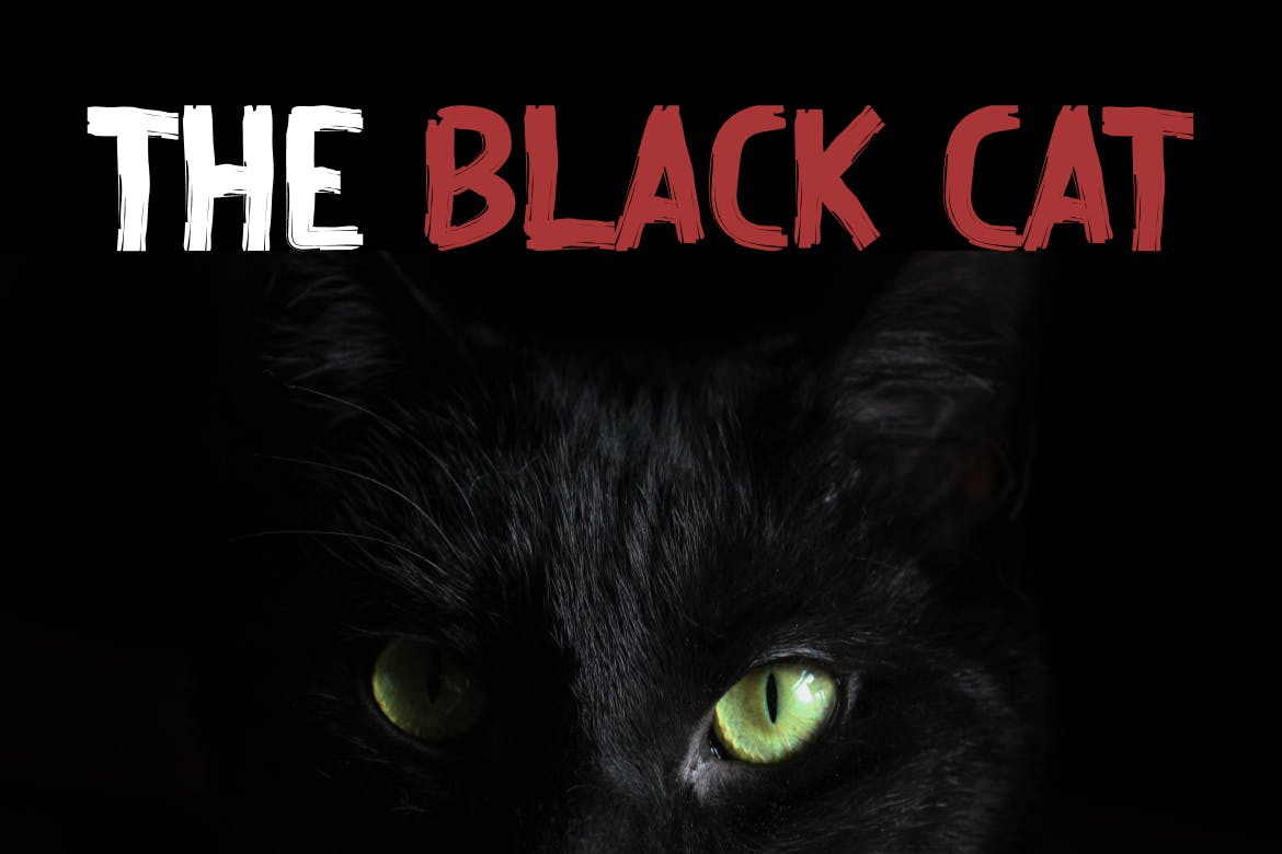 Wall Painter Rough brush font Just The Skills