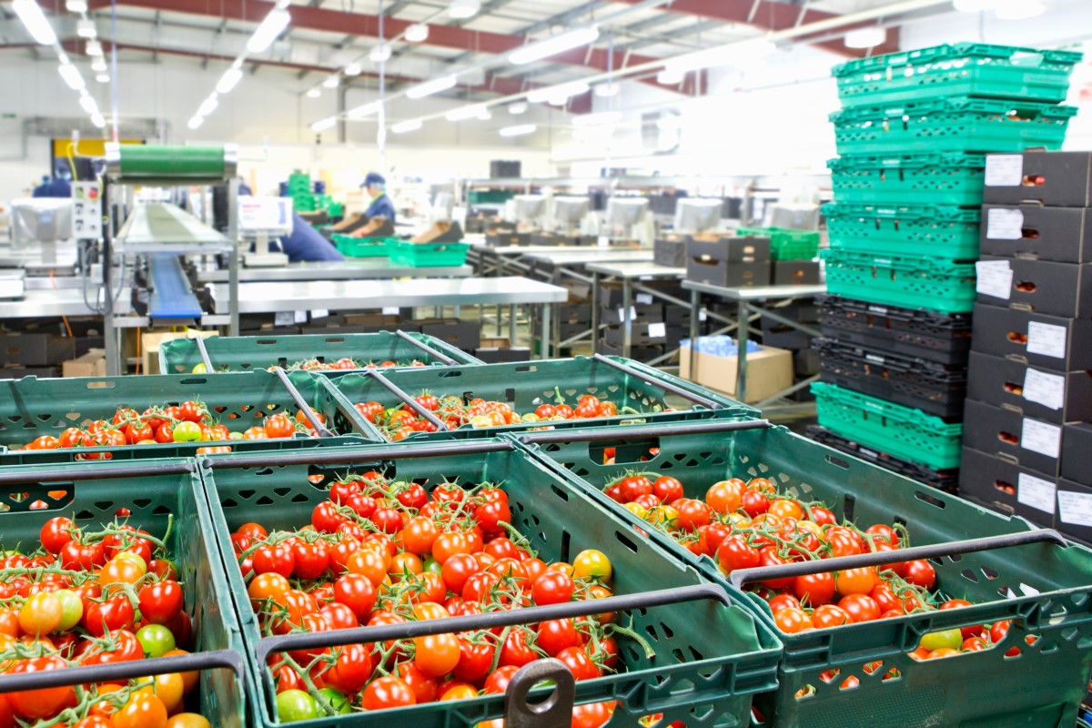 Used Machinery Suppliers Food Processing Equipment Just Visits