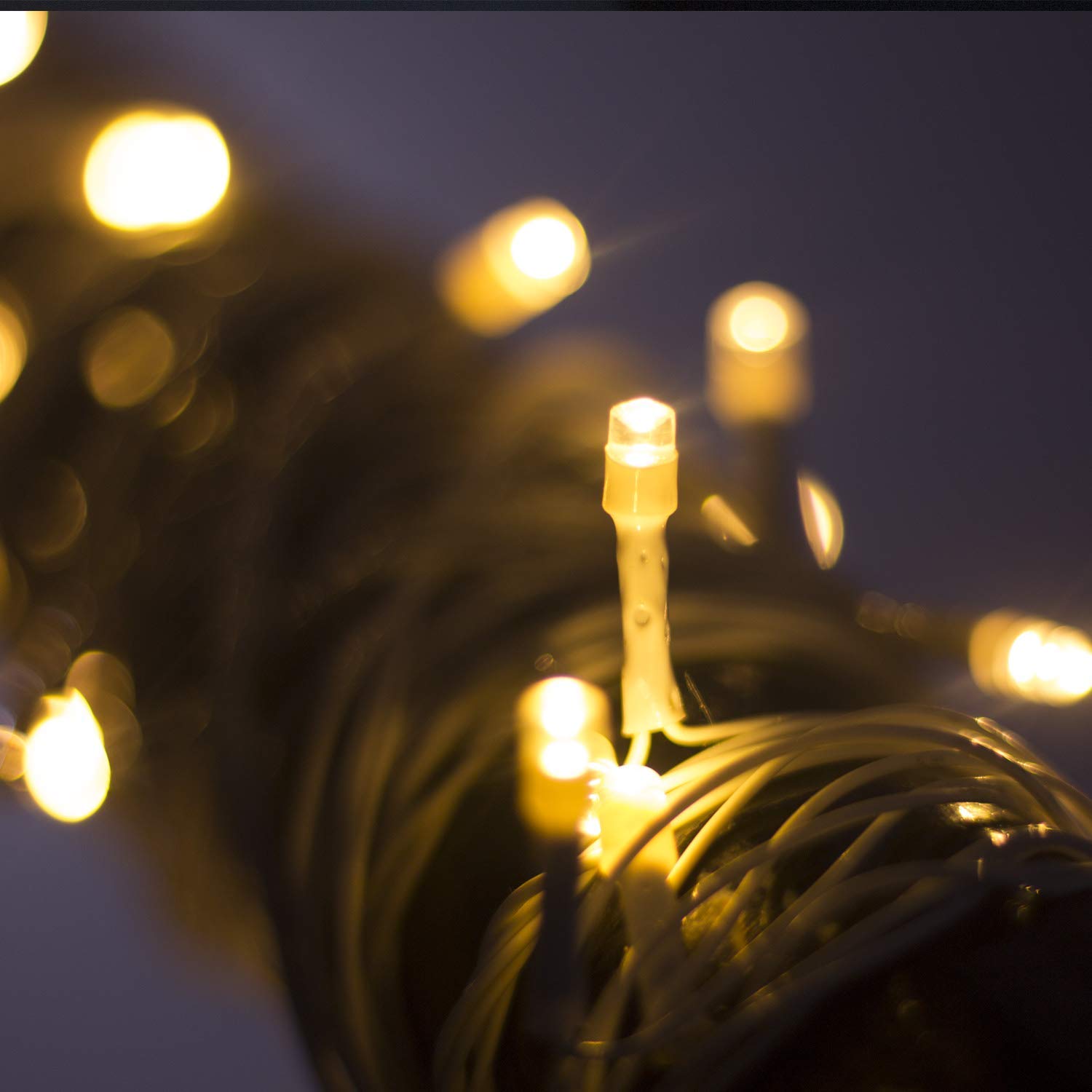 40 LED 8M Bulbs String Rice Light Pack Of 2