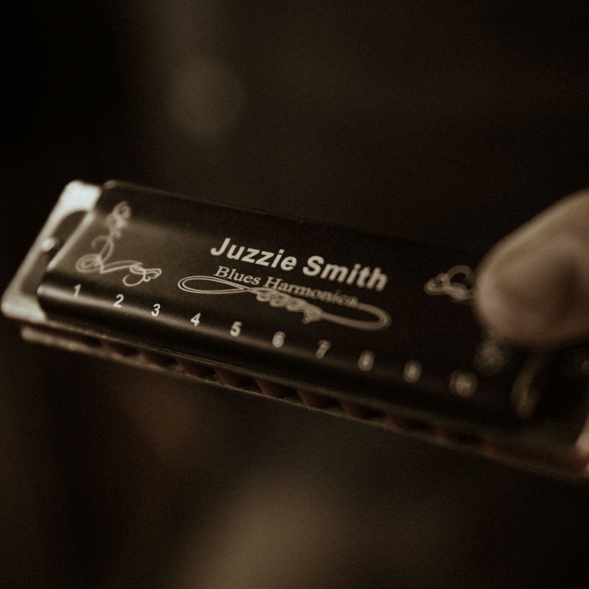 Harmonica & Lessons Package (Key A + C) Juzzie Smith