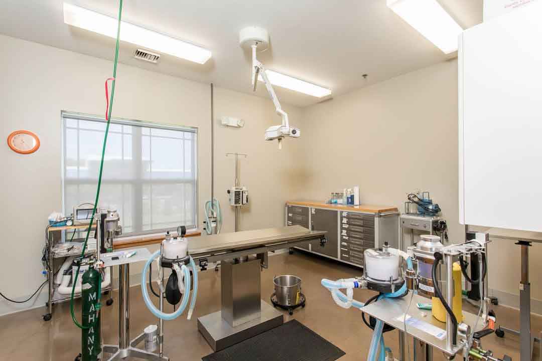 Gallery Jefferson Veterinary Hospital