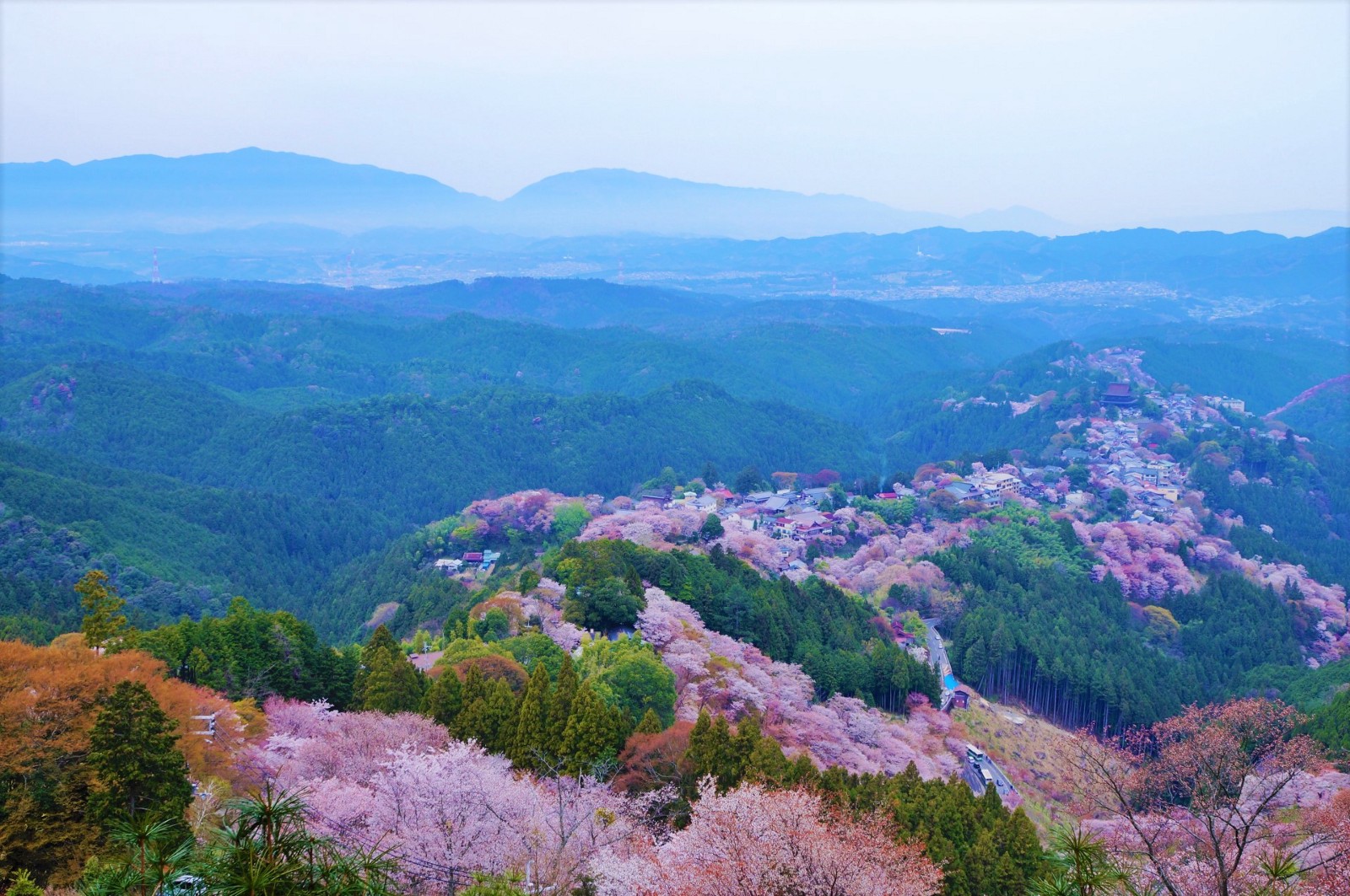 10 Best Places to Visit in Japan in Spring 2024 Japan Web Magazine