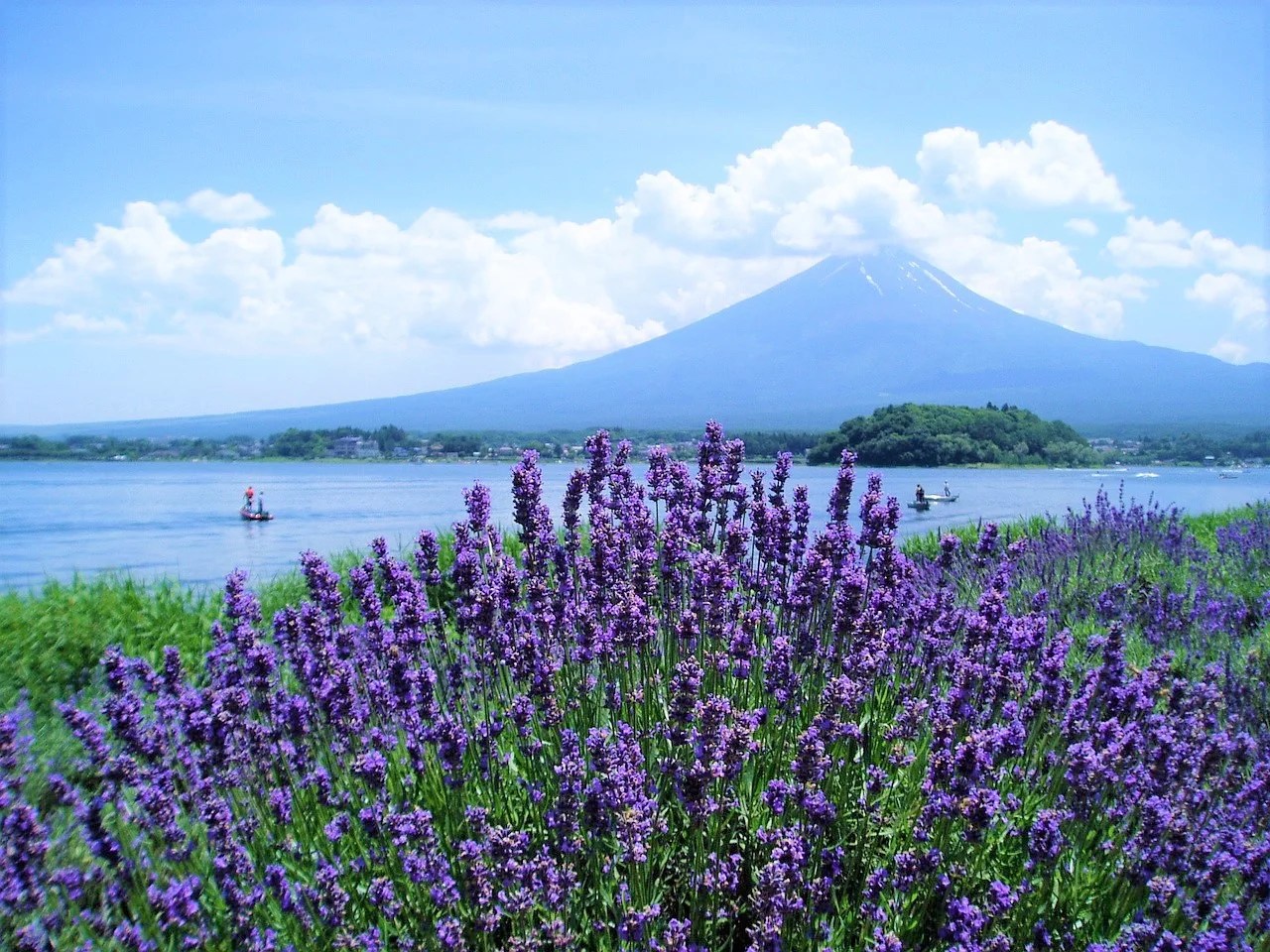 Top 10 Things to Do in Japan in June Japan Magazine