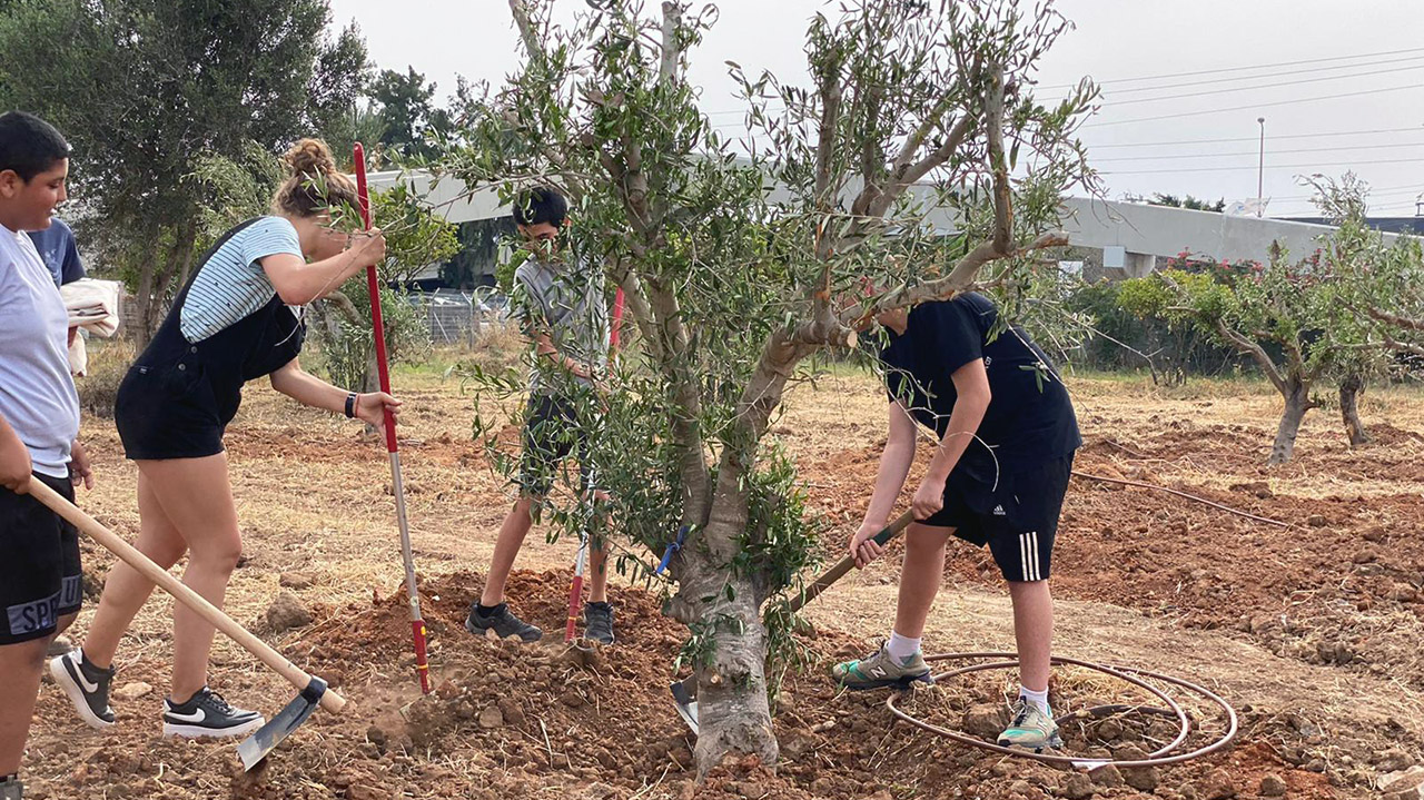 Local man spearheads tree planting in Israel to honor Poway victim