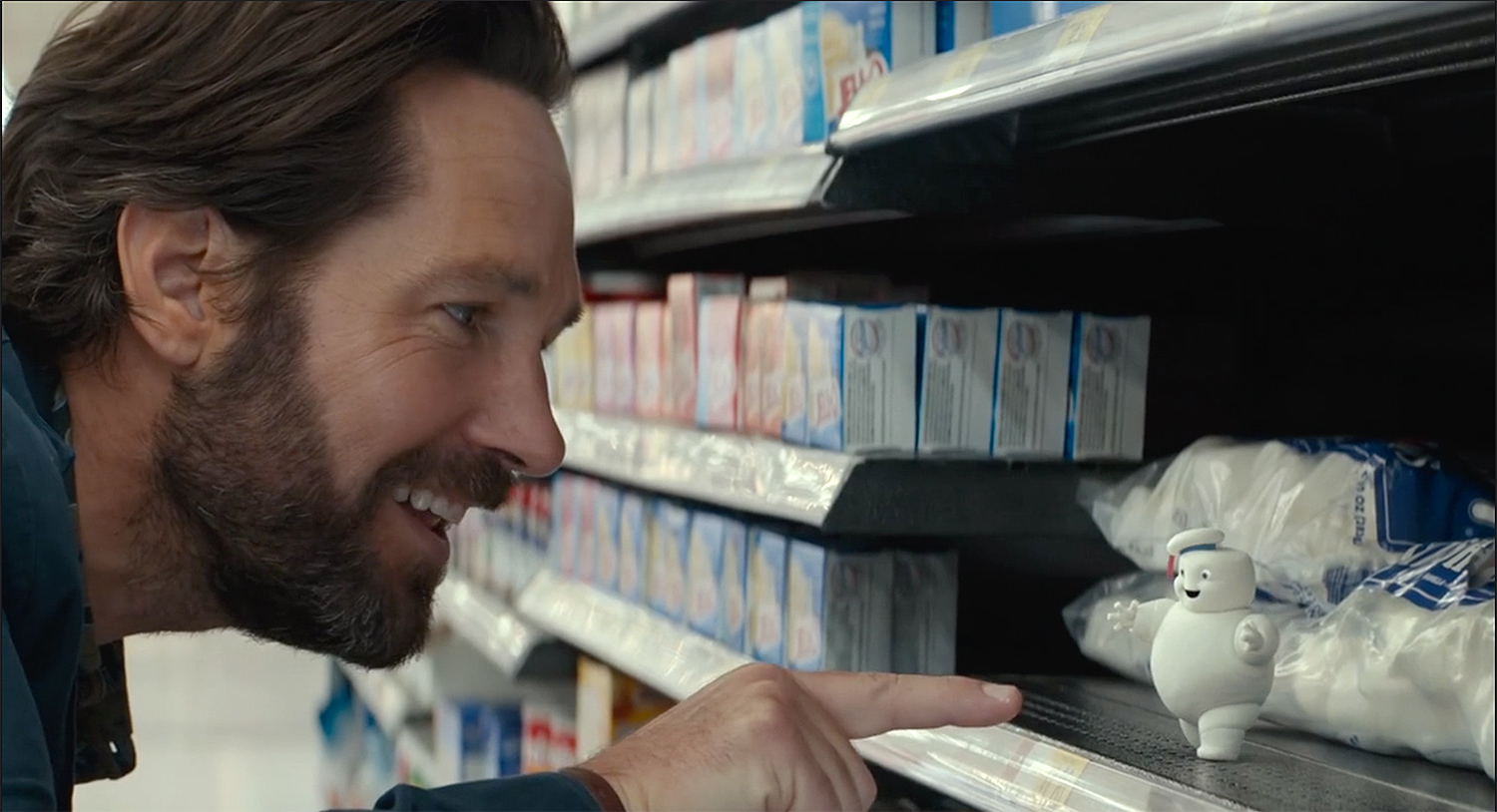 CELEBRITY JEWS Paul Rudd is sexy; Batsheva Haart is separated J.