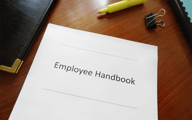 Food lion employment handbook ooseoseocg