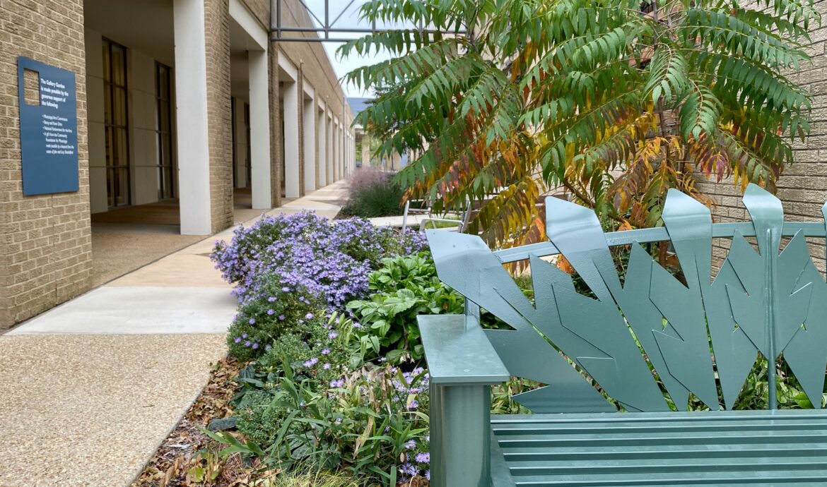 MS Museum of Art Unveils 'Gallery Garden' MyCity JxnMs