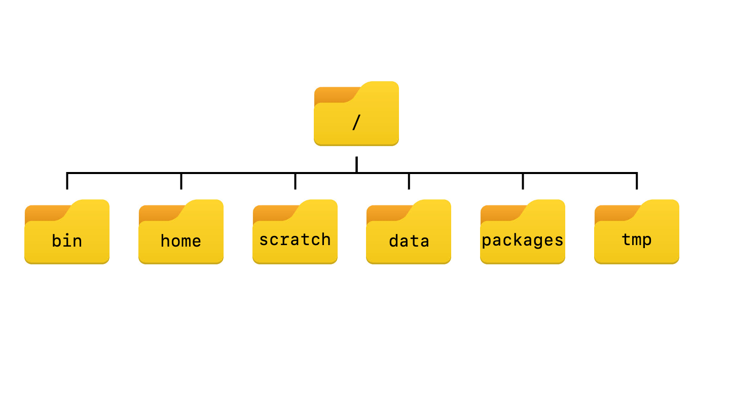 Navigating Files and Directories The Linux Shell on the Sol