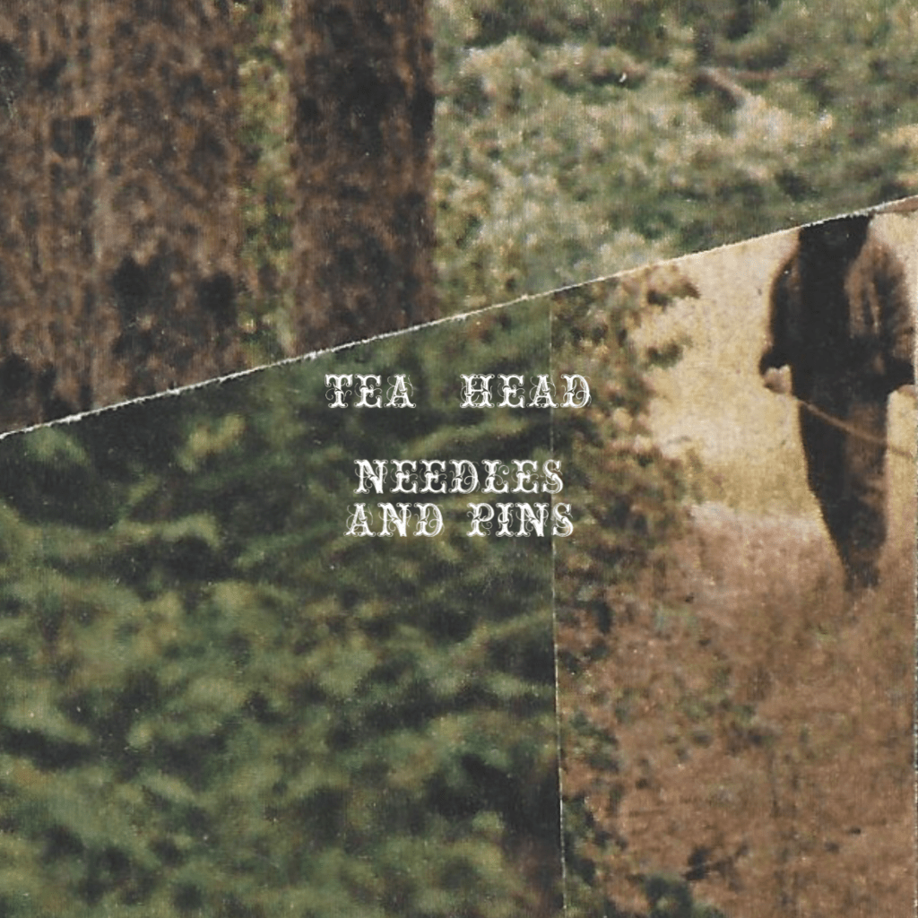 TEA HEAD Unveils Dynamic Anthem "Needles and Pins" A Melodic
