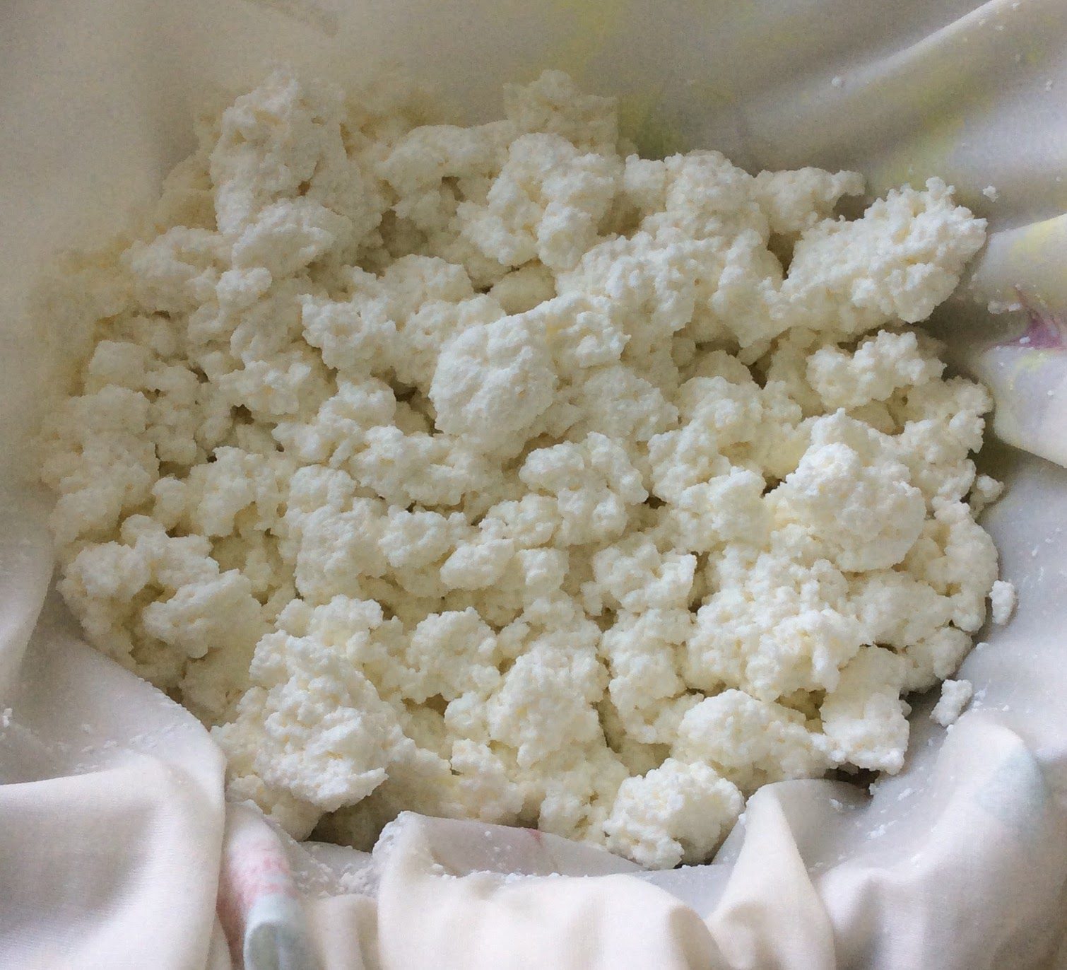 Chhena or Paneer Khir Jyoti Recipes
