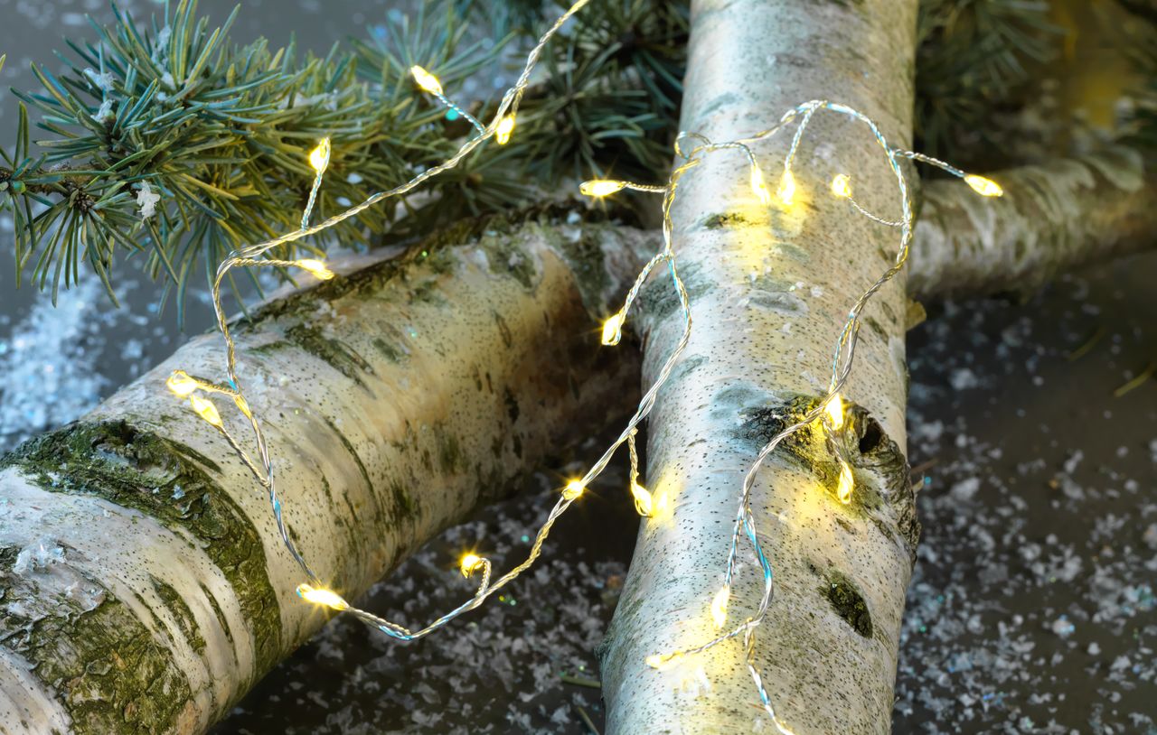 LED string lights TURKENIT L250cm w/100 LED JYSK