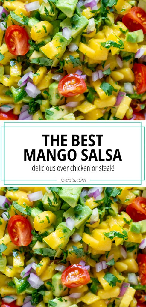 mango salsa long pin