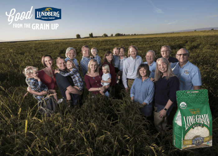 Top 3 Best Long Grain Rice Brands 2024 KAgriculture