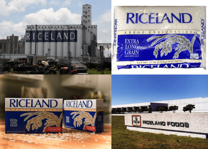 Top 3 Best Long Grain Rice Brands 2024 KAgriculture