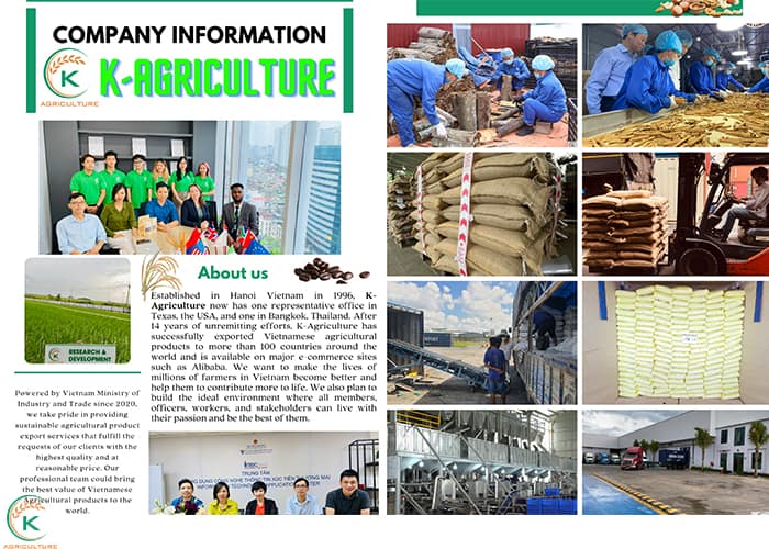 Top 3 Best Long Grain Rice Brands 2024 KAgriculture