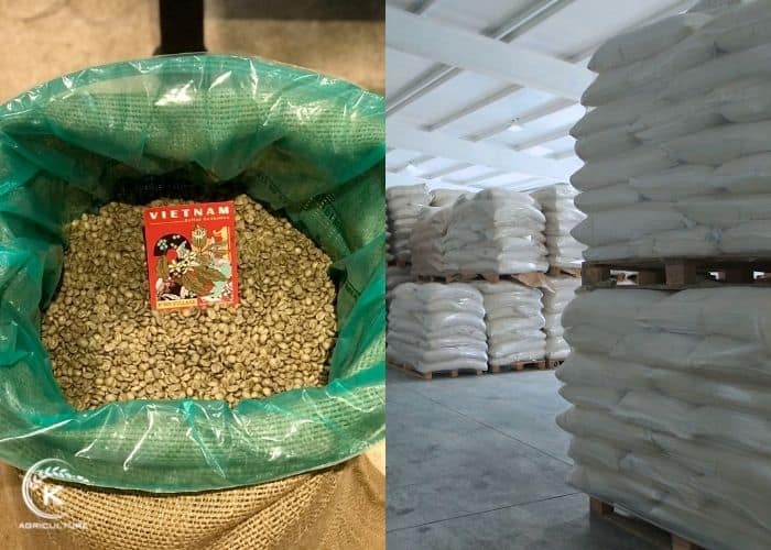 TOP 5 Coffee Export Countries In The World 2024 KAgriculture