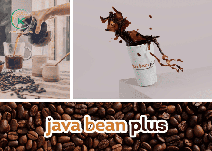 Understanding wholesale coffee companies