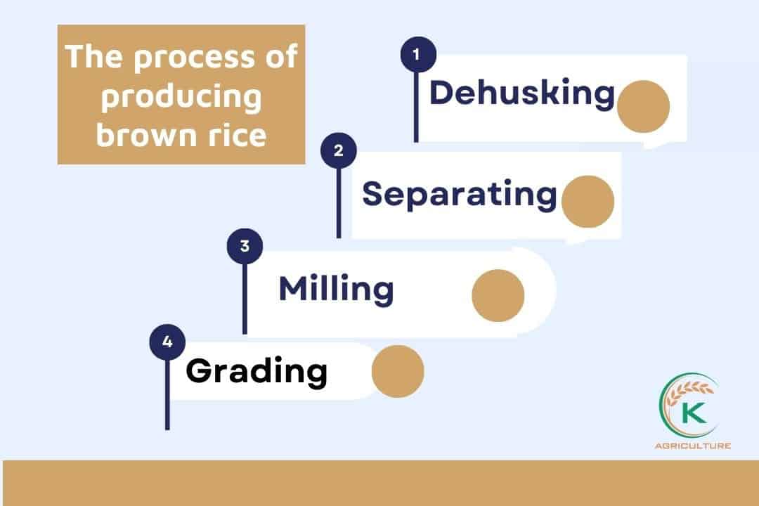 How To Cook Brown Rice In An Instant Pot KAgriculture