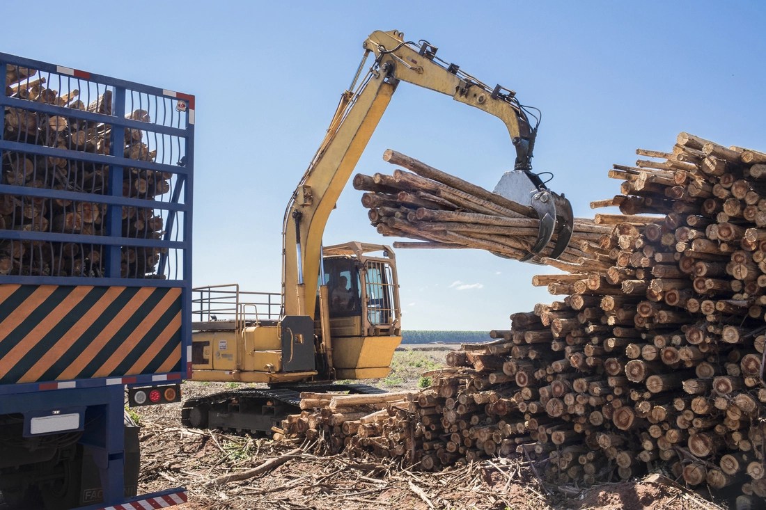 Top 20 Largest Timber Exporting Countries in the World