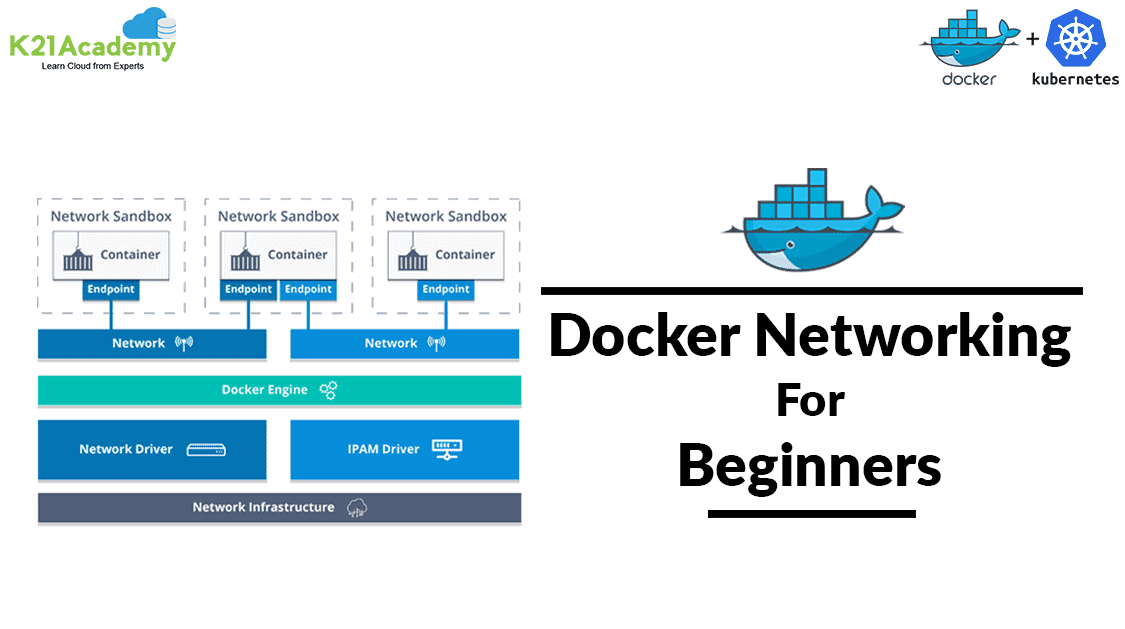 Beginner's Guide to Docker Networking