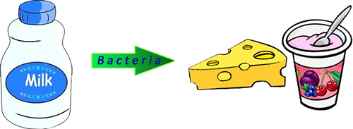 Irreversible Changes or Chemical Changes Examples