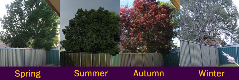 The Changing Seasons Geography for kids The K8 School