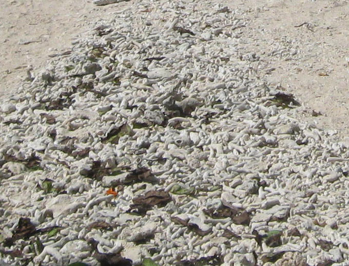 Insoluble and soluble materials Examples of Insoluble & Soluble Materials