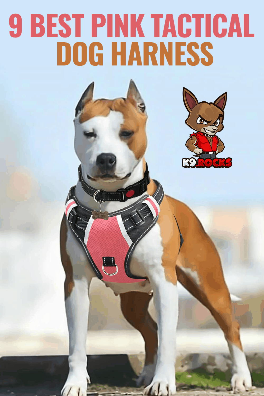 9 Best Pink Tactical Dog harness K9 Rocks