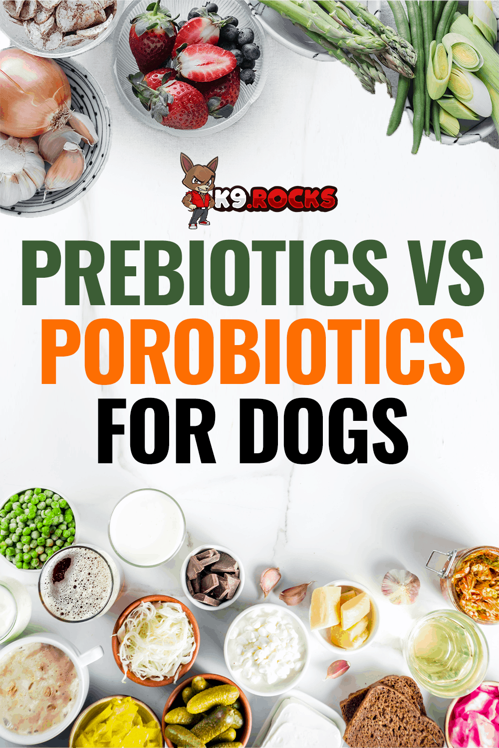 Prebiotics vs Probiotics for Dogs K9 Rocks